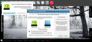 Backup Local